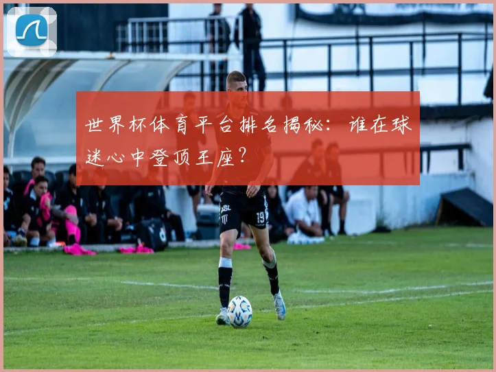 世界杯体育平台排名揭秘:谁在球迷心中登顶王座?