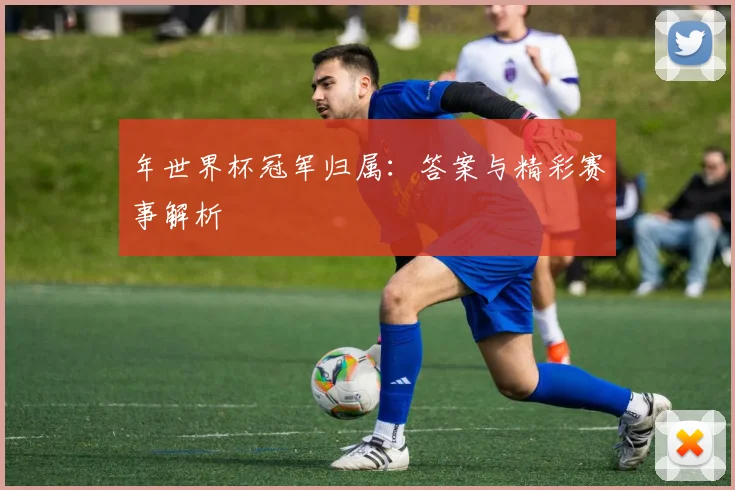 年世界杯冠军归属：答案与精彩赛事解析