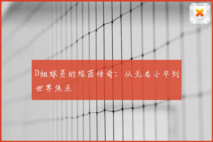 D组球员的绿茵传奇:从无名小卒到世界焦点