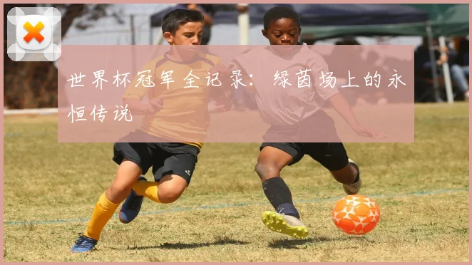 世界杯冠军全记录:绿茵场上的永恒传说