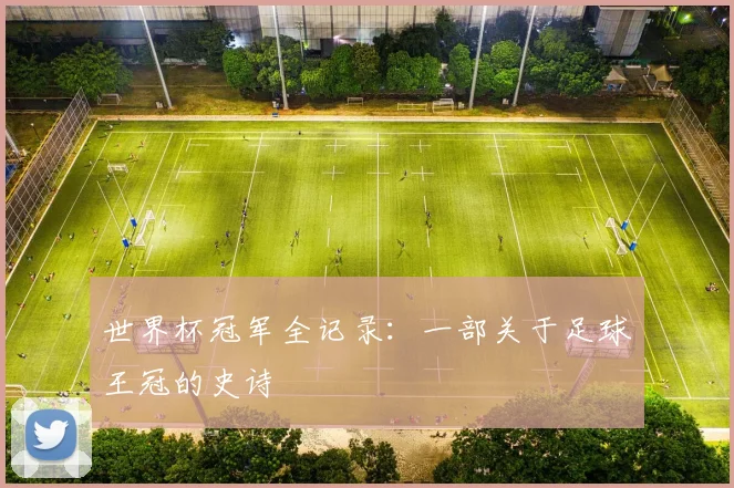 世界杯冠军全记录：一部关于足球王冠的史诗