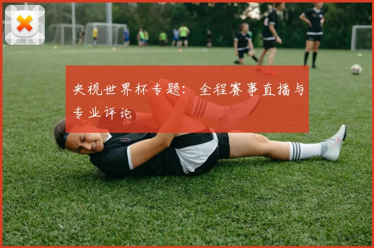 央视世界杯专题:全程赛事直播与专业评论