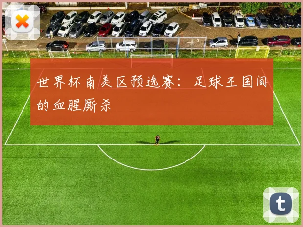 世界杯南美区预选赛:足球王国间的血腥厮杀