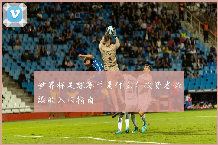 世界杯足球赛币是什么？投资者必读的入门指南