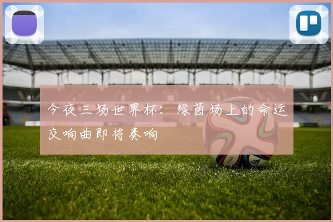 今夜三场世界杯：绿茵场上的命运交响曲即将奏响