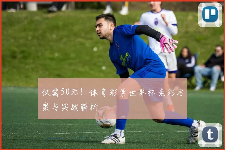 仅需50元!体育彩票世界杯竞彩方案与实战解析