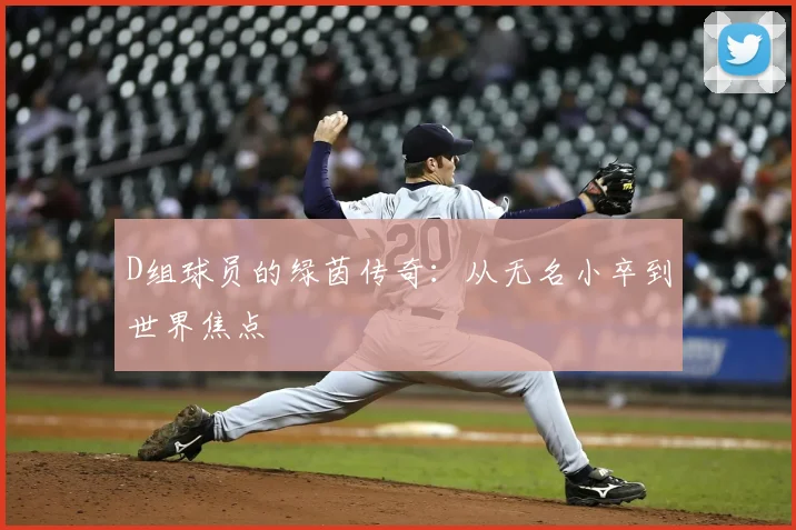 D组球员的绿茵传奇:从无名小卒到世界焦点